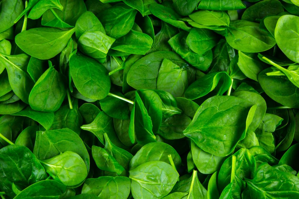 8 iron rich foods to raise iron levels