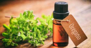 Health benefits of oregano essential oil
