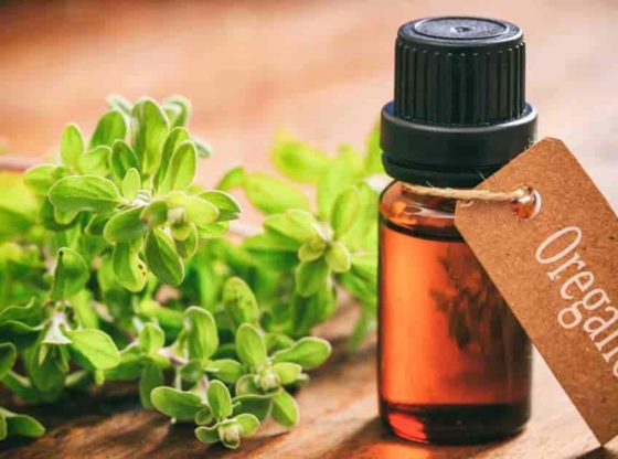 Health benefits of oregano essential oil