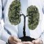 plants-for-lungs-health