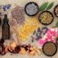 31 Long-Forgotten Native American Medical Cures